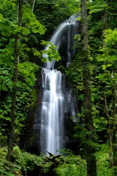 初夏の奥入瀬渓流3