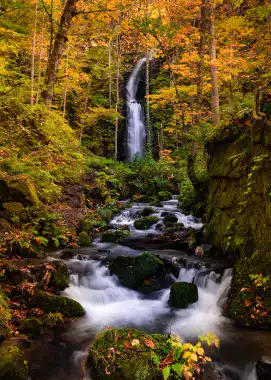 秋の奥入瀬渓流1