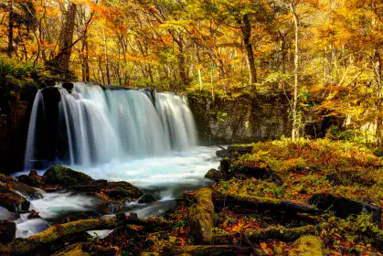 秋の奥入瀬渓流2