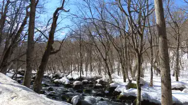 冬の奥入瀬渓流1