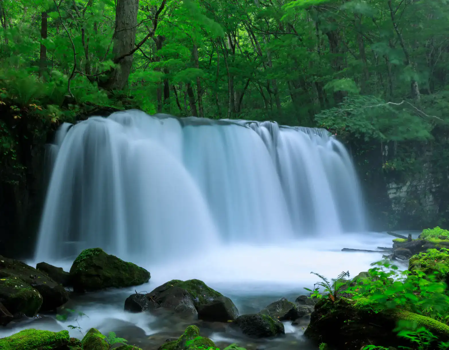 奥入瀬渓流銚子大滝